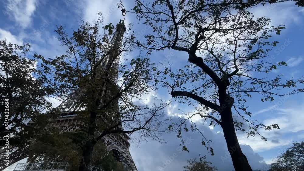 Downview of Paris Eiffel Tower, showing the iron structure in detail and some trees in front Downview of Paris Eiffel Tower, showing the iron structure in detail and some trees in front
