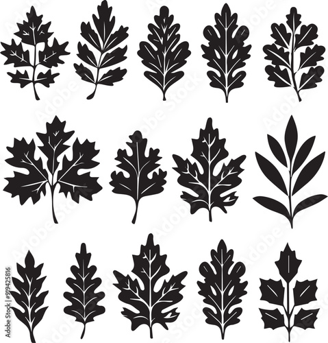 Leaf Flat Black Silhouette Vector Art Bundle