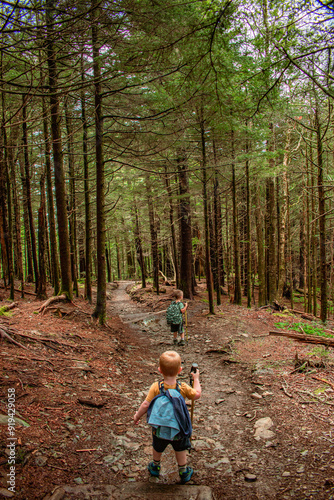 Children hiking in the forest