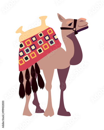 bikaner camel festival traditonal indian