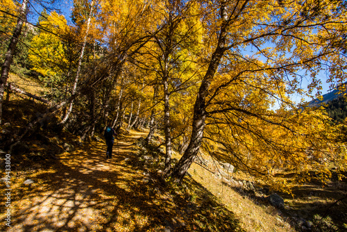 Young hiker woman in autumn in Aiguestortes and Sant Maurici National Park, Spain photo