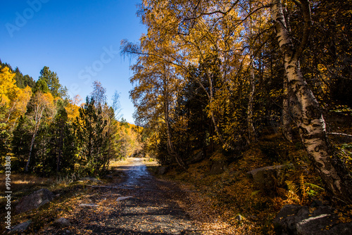 Autumn landscape in Aiguestortes and Sant Maurici National Park, Spain photo