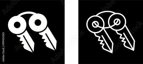 Keys Vector Icon