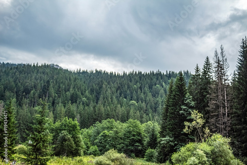 Bikaz Gorge and Lakul Roshu (Red Lake) - Eastern Carpathians - Romania - Europe