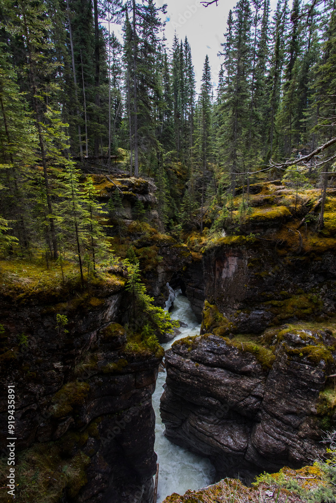 Summer landscape in Maligne Canyon, Jasper National Park, Canada Summer landscape in Maligne Canyon, Jasper National Park, Canada