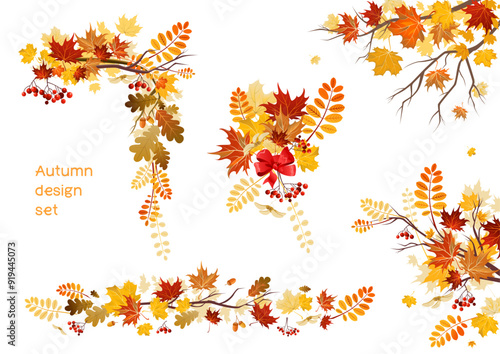 Autumn mixed leaves set