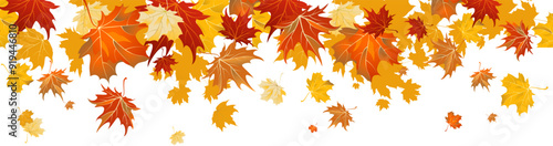 Maple leaves border