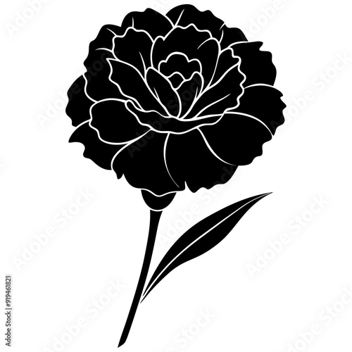 Carnation Silhouette Vector Illustration - Frilled Flower Clipart, Logo Icon, and Creative Design