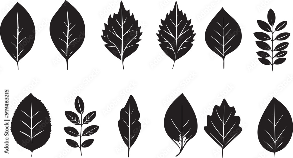 Tropical Leaf Black Silhouette Vector Series Tropical Leaf Black Silhouette Vector Series