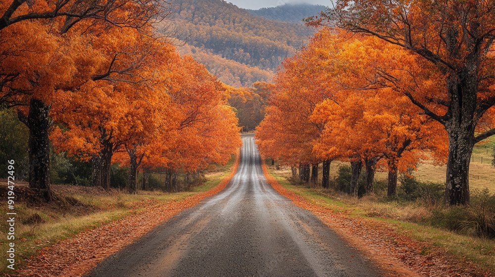 Fototapeta premium A tranquil country road lined with autumn trees, their leaves glowing in the sparkling golden light.
