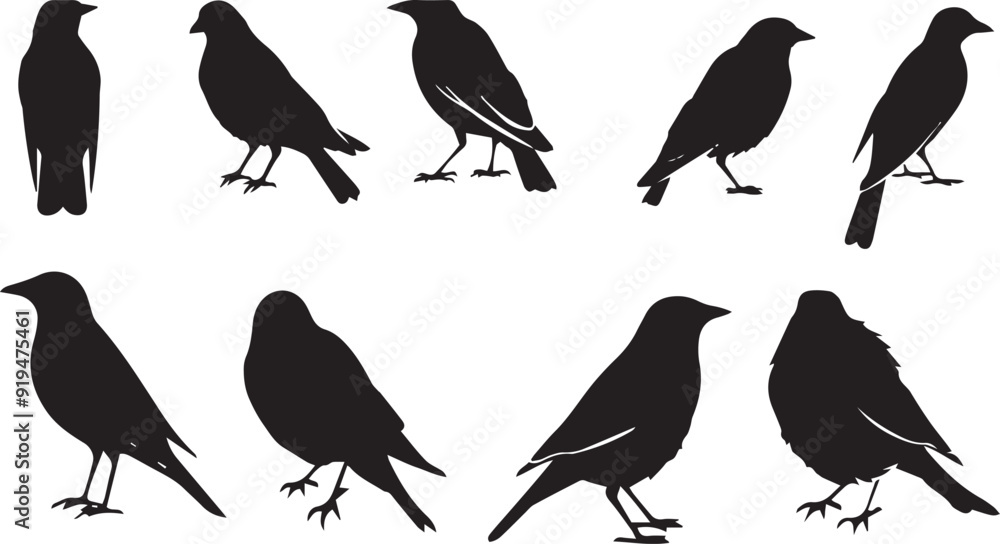 Obraz premium Black Eagle Flat Black Silhouette Vector Art Bundle