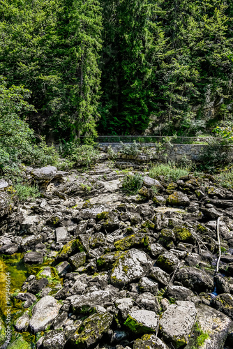 Les Brenets, le lac des Brenets, Felsen, Felswände, Doubs, Fluss, Le Locle, Ausflug, le Saut-du-Doubs, Jura, Juramassiv, Wald, Wanderweg, Flussbett, Sommer, Kanton Neuenburg, Schweiz, Frankreich