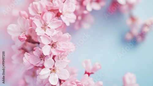 Wreath of small light pink cherry sakura flowers, copy space, natural organic floral frame. The generation of AI