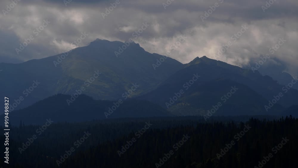 Landscape with forest and mountains Landscape with forest and mountains