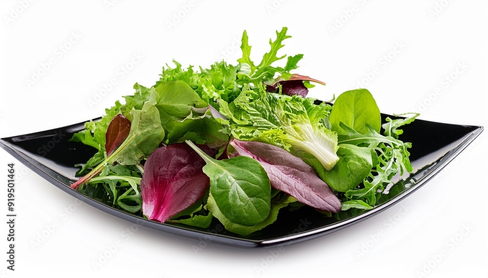 Salad mix with rucola, frisee, radicchio, chard and lamb's lettuce. Green salad Isolated on white background Salad mix with rucola, frisee, radicchio, chard and lamb's lettuce. Green salad Isolated on white background