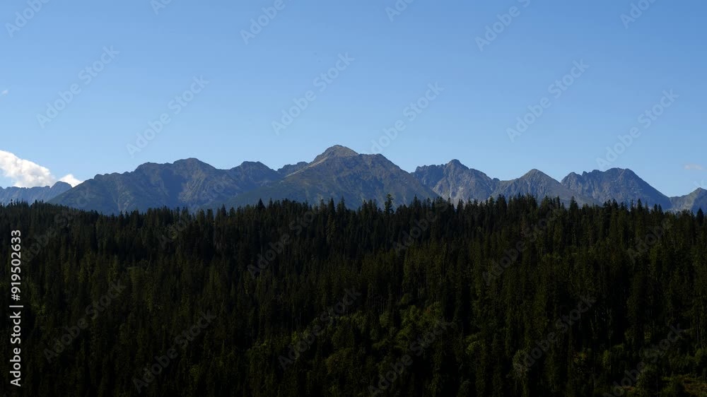 Landscape with forest and mountains Landscape with forest and mountains