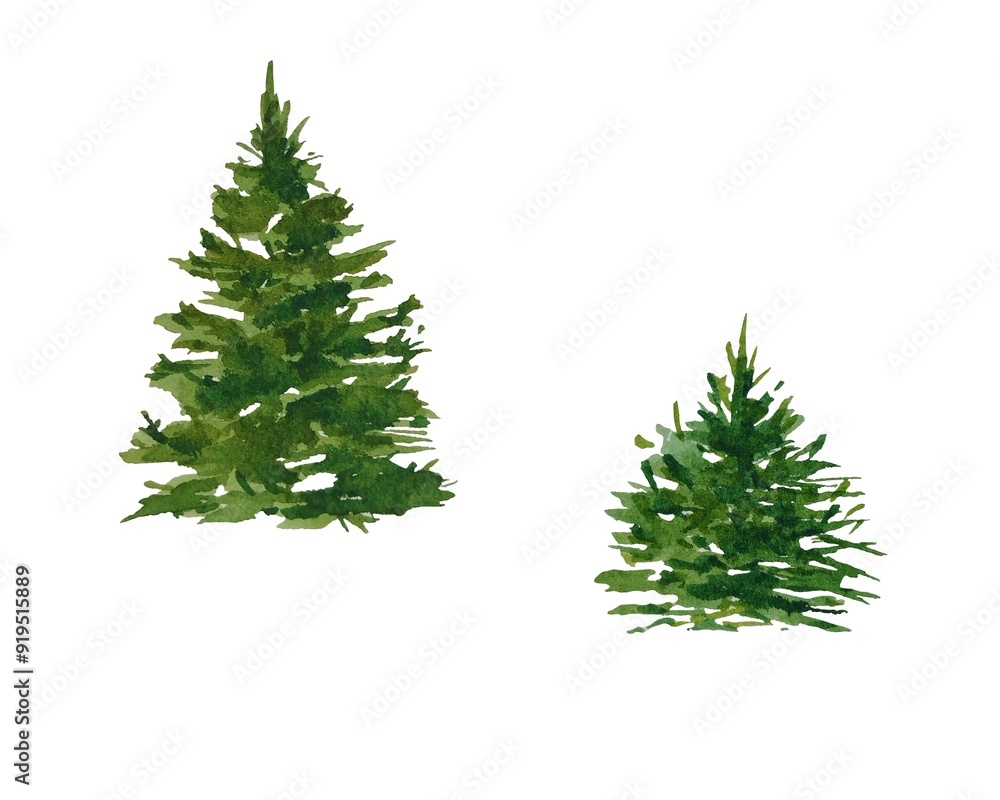 Set of isolated watercolor Christmas trees hand drawn White background Set of isolated watercolor Christmas trees hand drawn White background