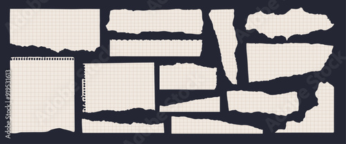 Set of 14 ripped squared notepad paper scraps. Torn paper sheet in retro style for scrapbooking. Vector distressed paper edge clipart.