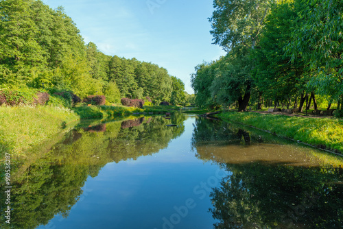 River in the park. Beautiful calm landscape in summer.