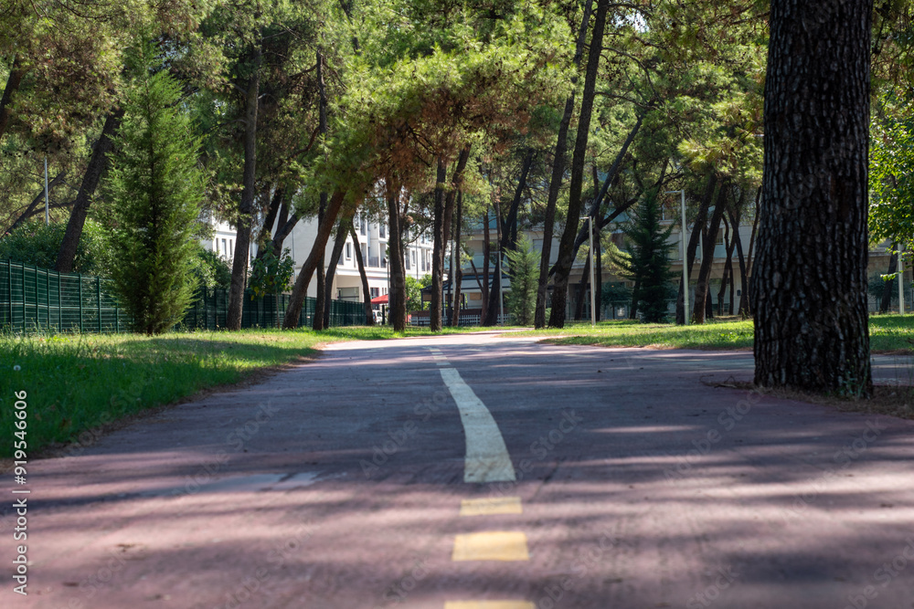 alley in the park modern urbanism green space, trees and footpath for recreation alley in the park modern urbanism green space, trees and footpath for recreation