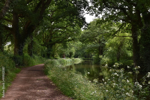 a walk along the grand Western canal in tiverton, Devon photo