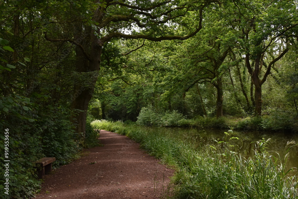 Naklejka premium a walk along the grand Western canal in tiverton, Devon