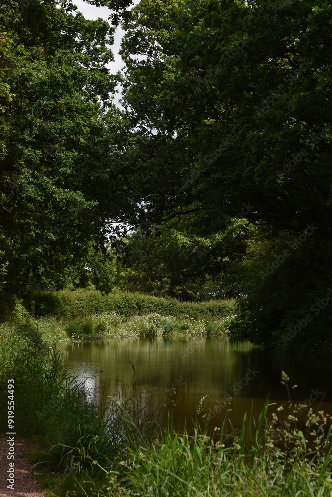 a walk along the grand Western canal in tiverton, Devon a walk along the grand Western canal in tiverton, Devon
