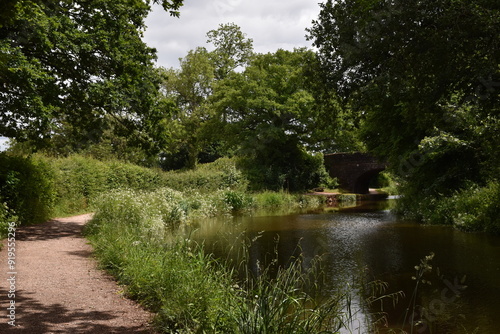 a walk along the grand Western canal in tiverton, Devon photo