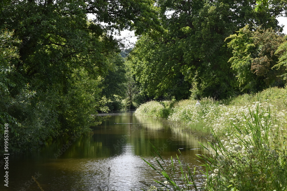 a walk along the grand Western canal in tiverton, Devon a walk along the grand Western canal in tiverton, Devon