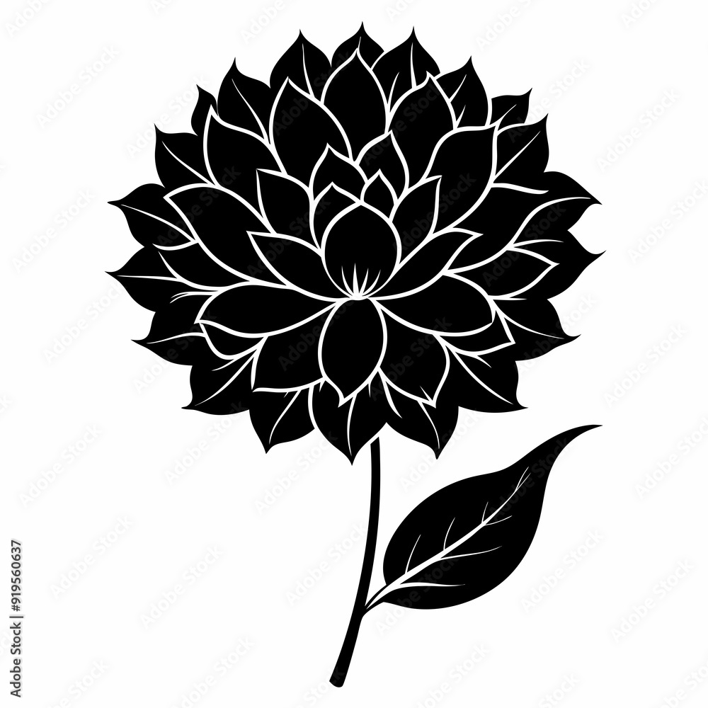 Dahlia Black silhouette Dahlia Black silhouette