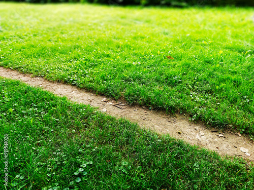 Countryside field path walk backdrop photo