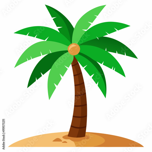 coconut tree, palm, fronds, coconuts, tropical, coastline, sandy soil, trunk, canopy, nuts, leaves, bark, coastal, shade, tropical fruit, island, breeze, 