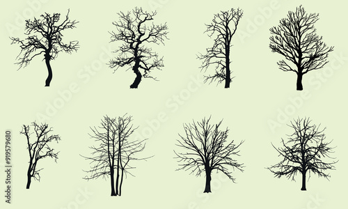 Set of silhouettes of dead trees without leaves. Autumn-winter deciduous trees without leaves