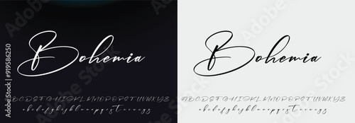 signature Font Calligraphy Logotype Script Brush Font Type Font lettering handwritten