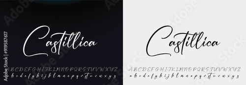 signature Font Calligraphy Logotype Script Brush Font Type Font lettering handwritten
