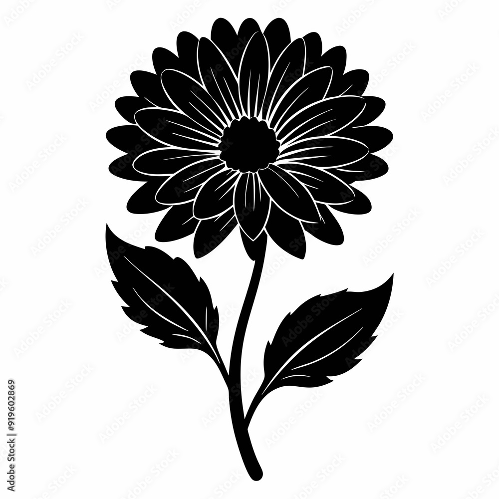 Calendula Black silhouette Calendula Black silhouette