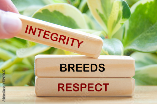 Integrity breeds respect text on wooden blocks with nature background. Personal growth concept photo