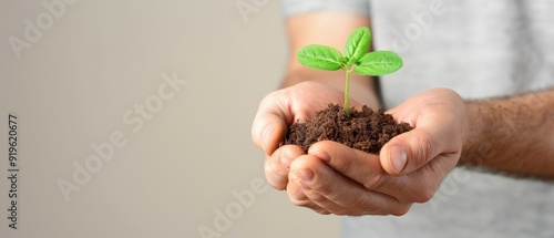  A tight shot of an individual carefully cradling a potted plant, dirt staining their hands, with soil palpably nestled in the cupped palm photo