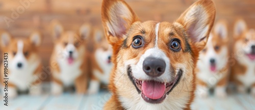 A jumbled cluster of indistinct dog forms photo