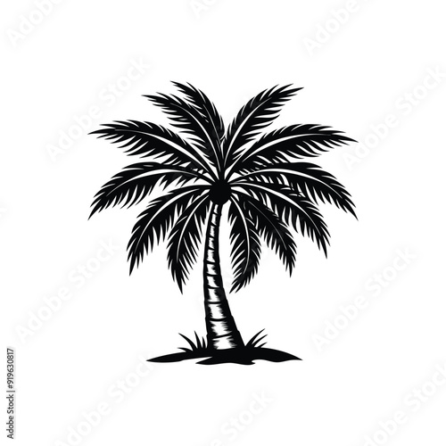 Palm tree vector icon isolated on white background