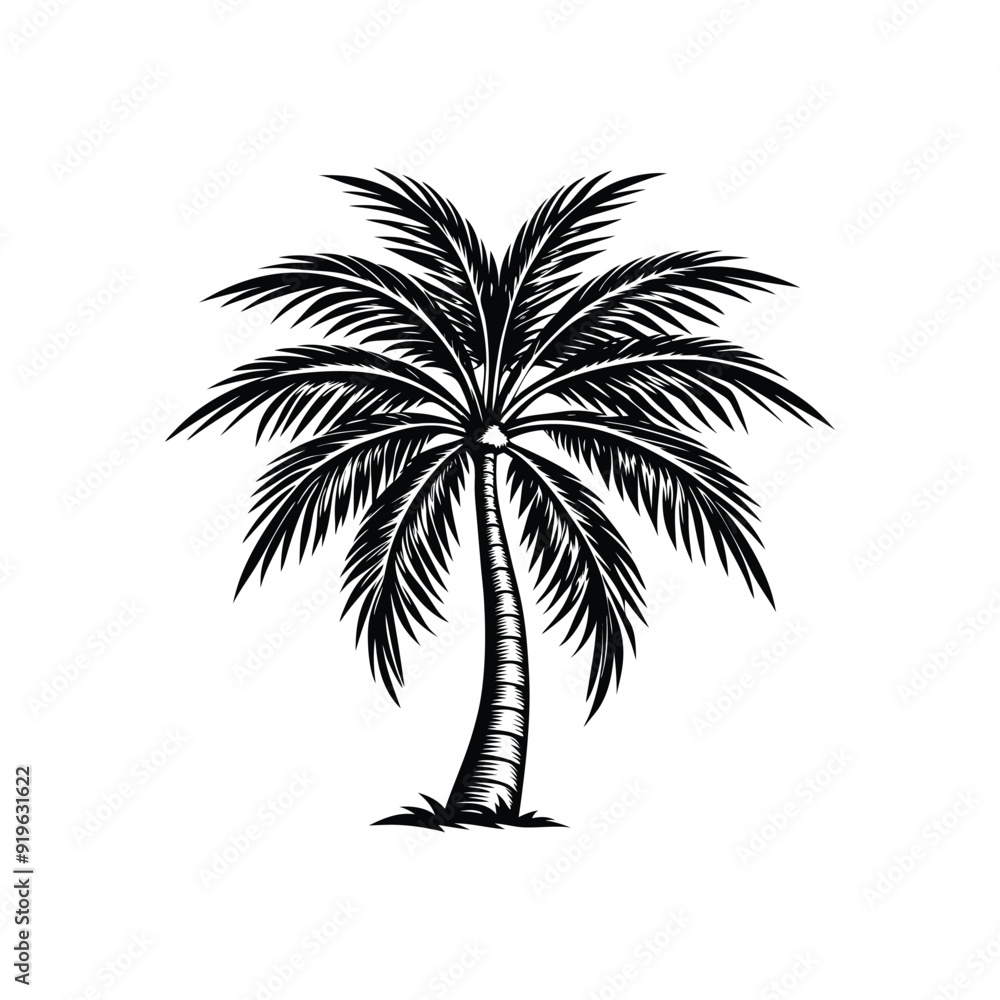 Fototapeta premium Palm tree vector icon isolated on white background