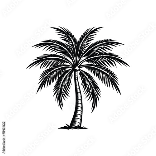 Palm tree vector icon isolated on white background