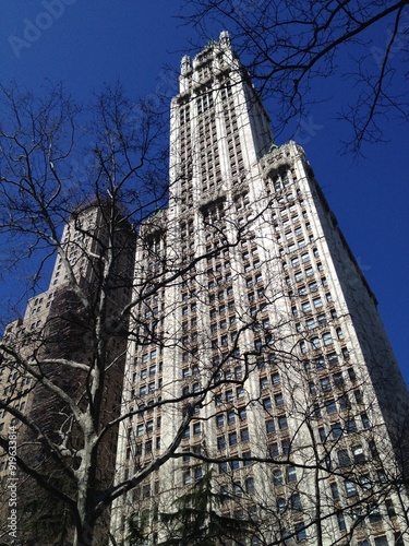 NYC Downtown, City hall Park, Woolworth Building photo