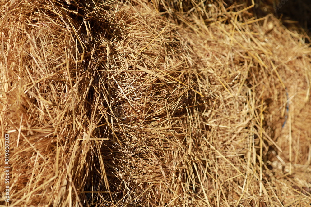 Close-up of a tied hay bale. Perfect for agricultural themes or design backgrounds. Close-up of a tied hay bale. Perfect for agricultural themes or design backgrounds.