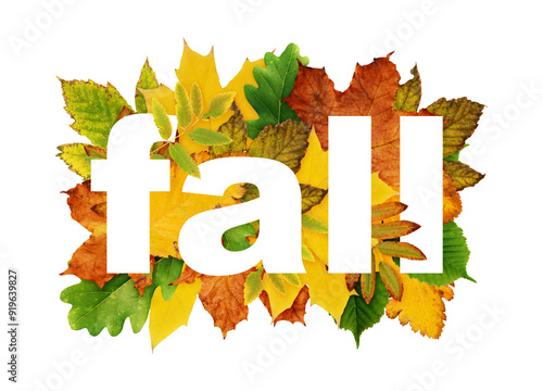 Autumn leaves and lettering...