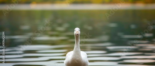  A close-up of a bird over a body of water with trees in the background