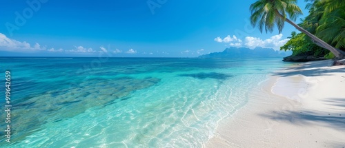  A tropical island beach with crystalline blue water and a solitary palm tree on its shores, amidst the vast ocean