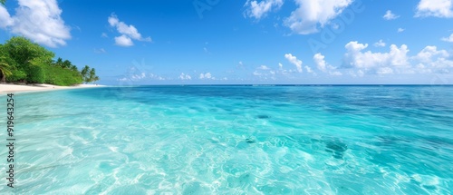 Beach with clear blue water and white sand Palm tree in distance