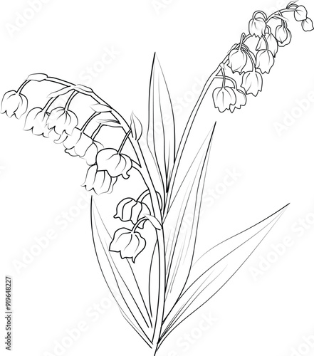 Lily of the Valley coloring book hand drawn botanical spring elements bouquet of Lily of the Valley flower line art, coloring page, vector sketch, artistic simplicity doodle art