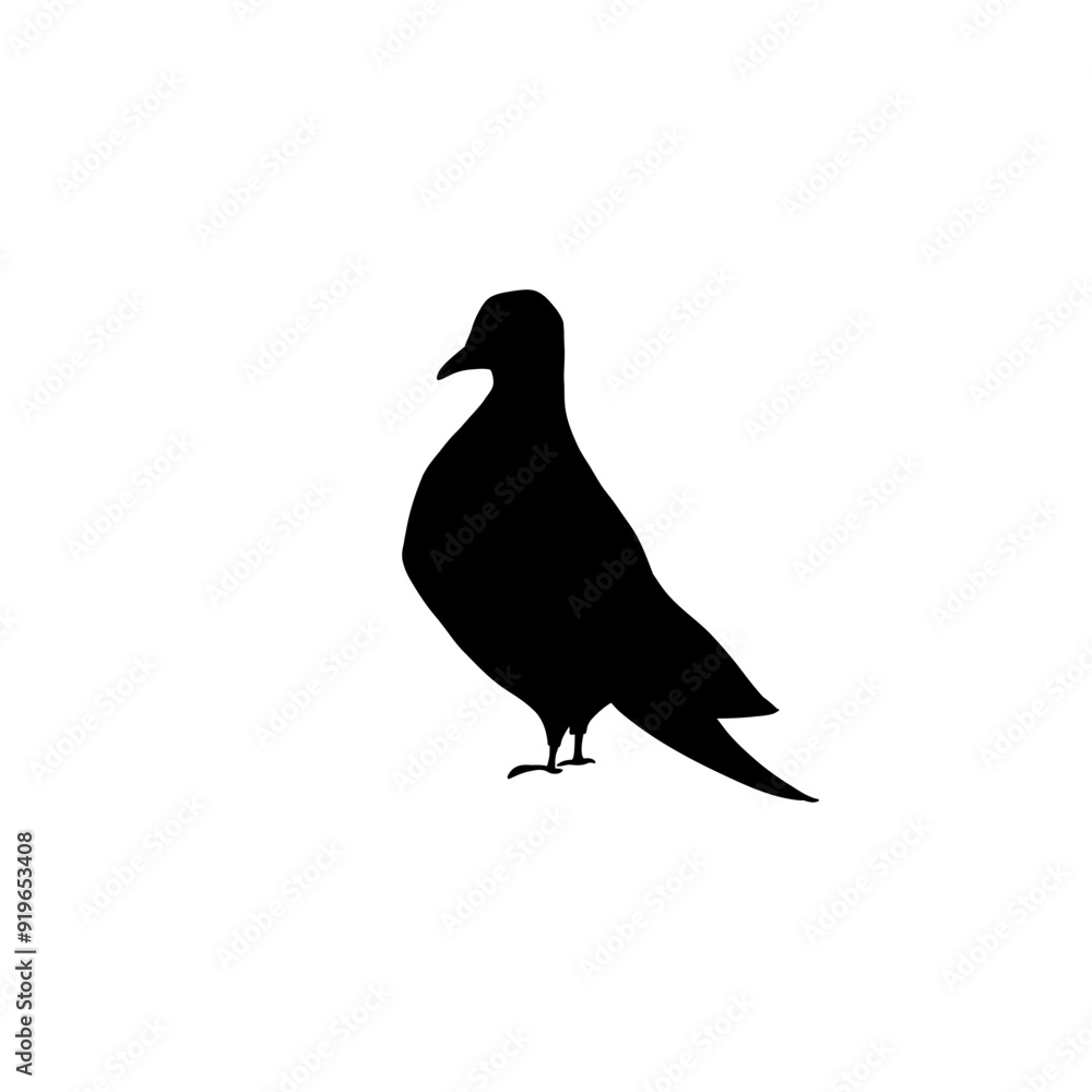 Fototapeta premium Cute pigeon black silhouette. Hand drawn elements. Animals, bird. Vector doodle objects for your design